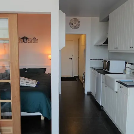 In Near The Beach, Cleaning Included Nieuwpoort