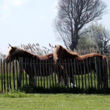 In For 4 Persons, Cleaning Included * Nieuwpoort