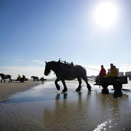 Lägenhet In Near The Beach, Cleaning Included Nieuwpoort
